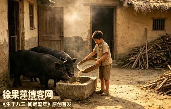80后童年农事篇⑤喂猪