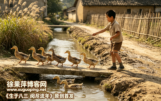 80后童年农事篇⑨赶鸭